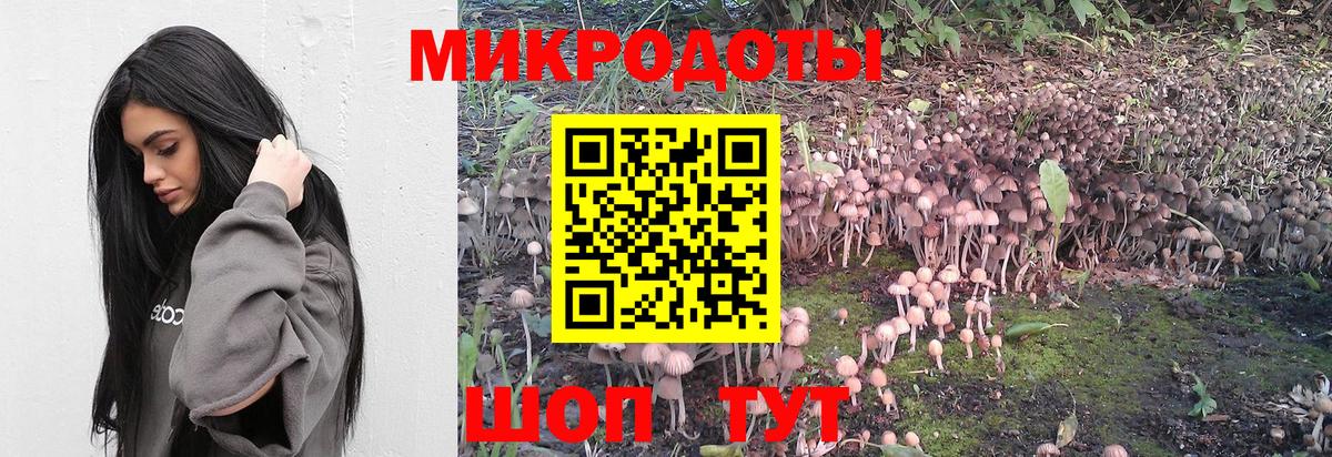 Дзержинский  Галлюциногенные грибы MAGIC MUSHROOMS  Вход с VPN  Галлюциногенные грибы GOLDEN TEACHER 