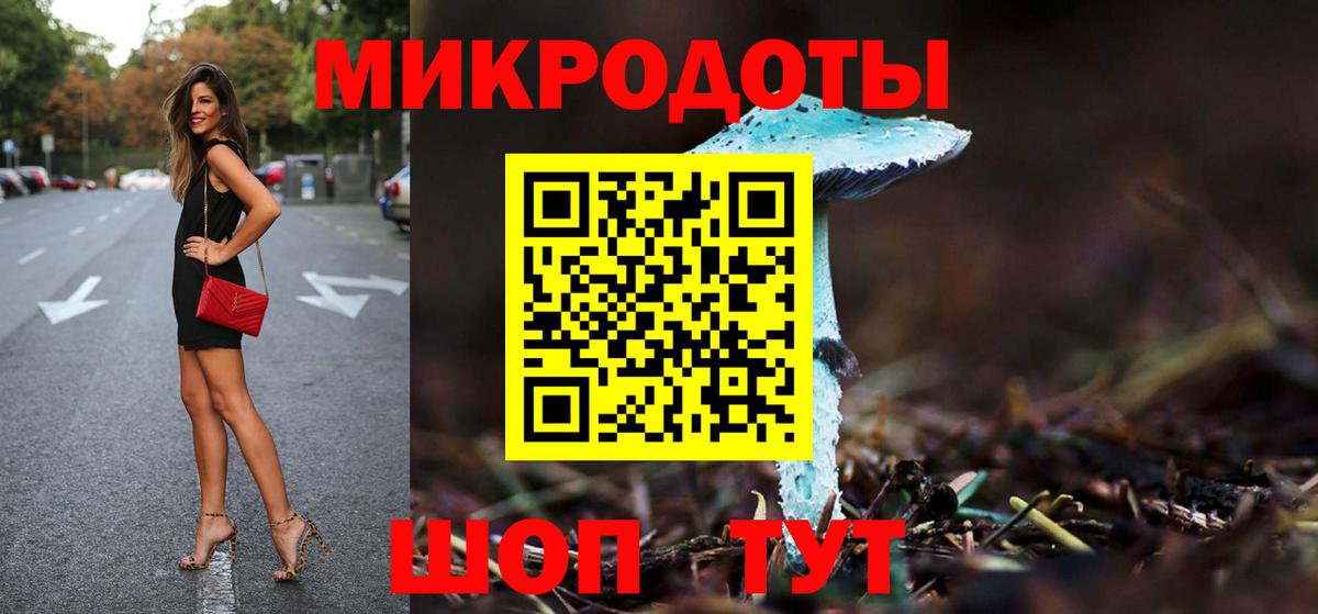Псилоцибиновые грибы Cubensis Дзержинский